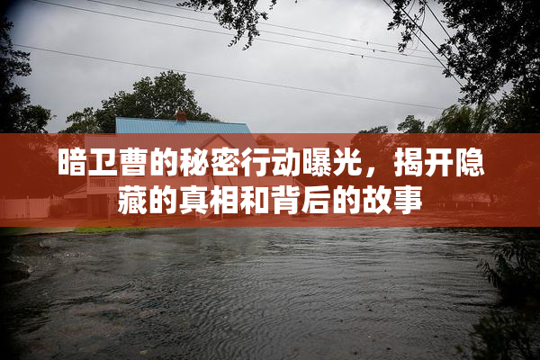暗卫曹的秘密行动曝光，揭开隐藏的真相和背后的故事