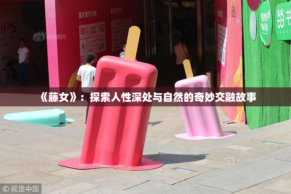 《藤女》：探索人性深处与自然的奇妙交融故事