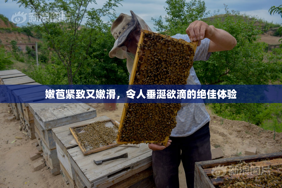 嫩苞紧致又嫩滑，令人垂涎欲滴的绝佳体验