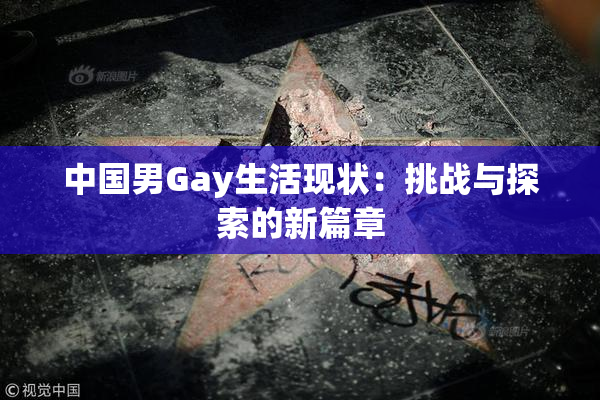 中国男Gay生活现状：挑战与探索的新篇章