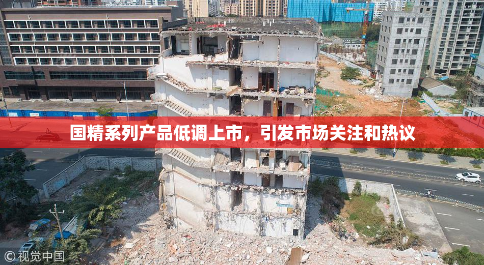 国精系列产品低调上市，引发市场关注和热议