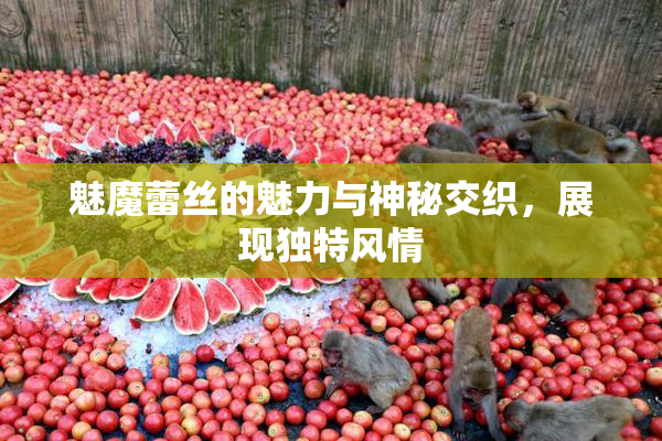 魅魔蕾丝的魅力与神秘交织，展现独特风情