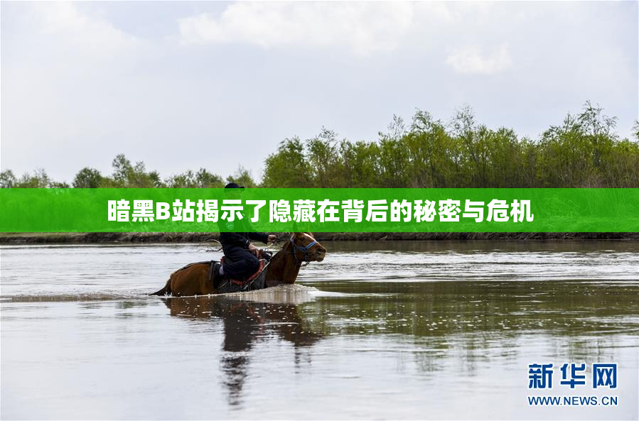 暗黑B站揭示了隐藏在背后的秘密与危机