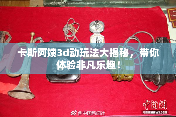 卡斯阿姨3d动玩法大揭秘，带你体验非凡乐趣！