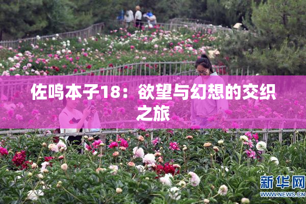 佐鸣本子18：欲望与幻想的交织之旅