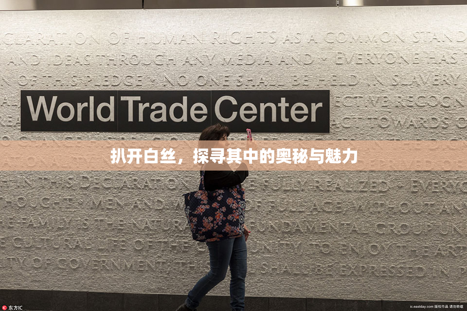 扒开白丝，探寻其中的奥秘与魅力