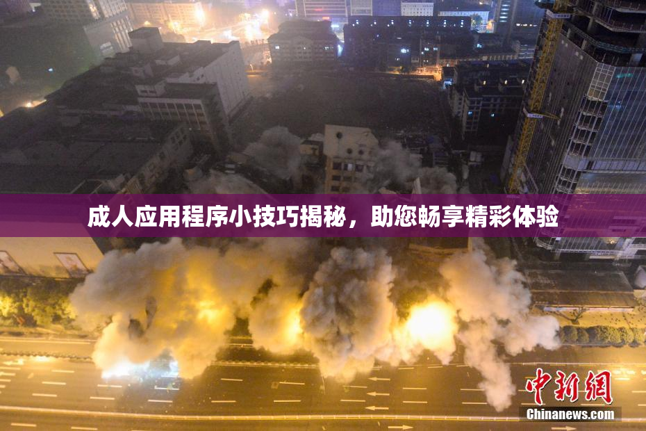 成人应用程序小技巧揭秘，助您畅享精彩体验