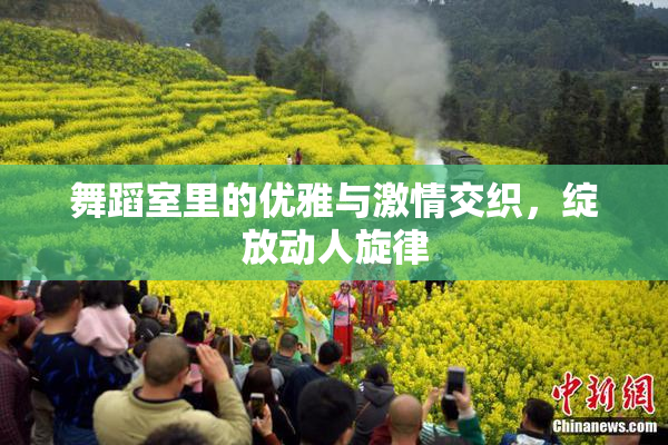 舞蹈室里的优雅与激情交织，绽放动人旋律