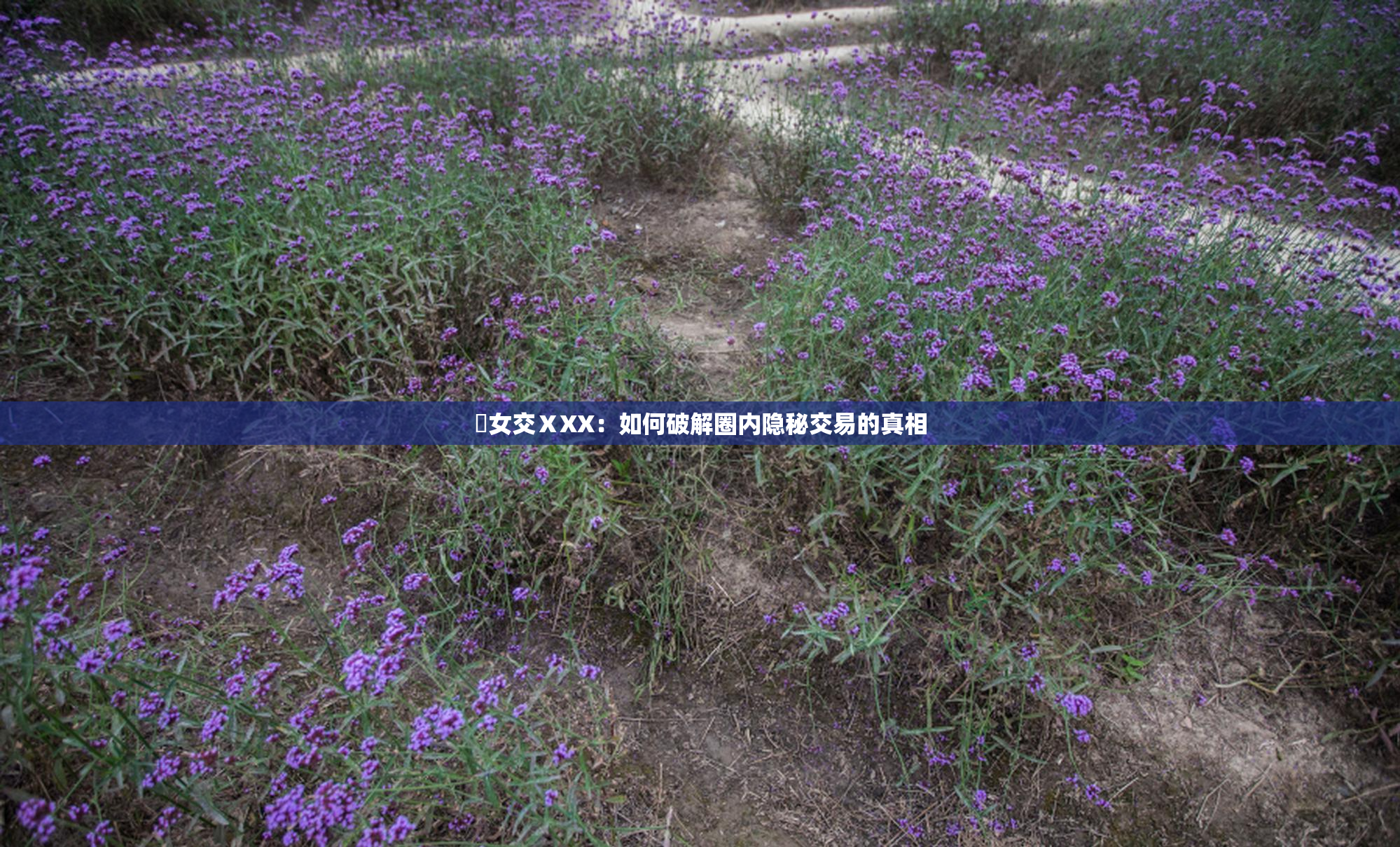 乣女交ⅩXX：如何破解圈内隐秘交易的真相