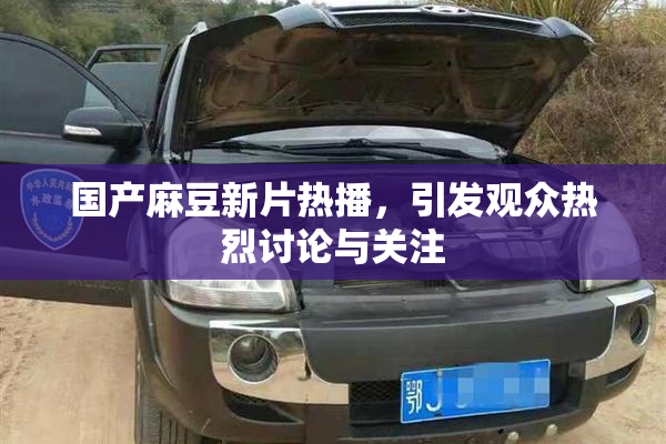 国产麻豆新片热播，引发观众热烈讨论与关注