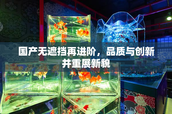 国产无遮挡再进阶，品质与创新并重展新貌