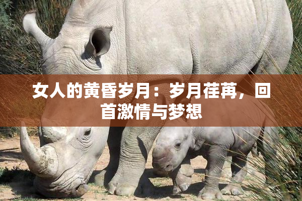 女人的黄昏岁月：岁月荏苒，回首激情与梦想