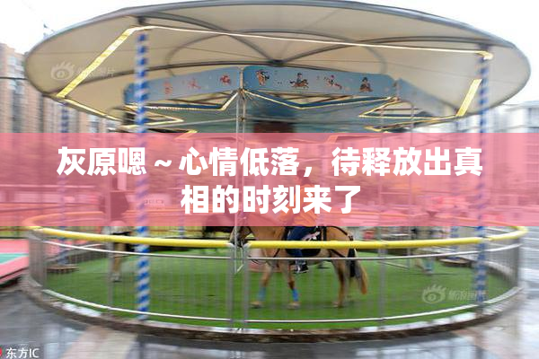 灰原嗯～心情低落，待释放出真相的时刻来了