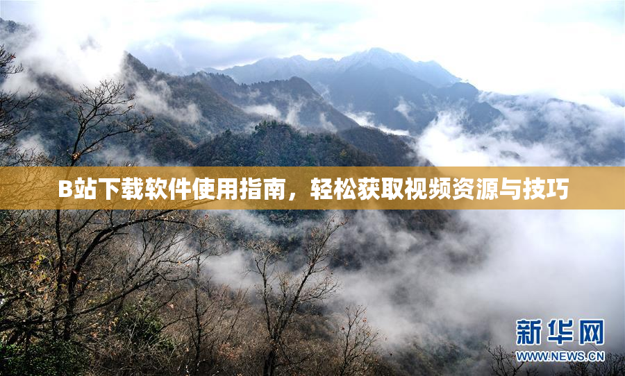 B站下载软件使用指南，轻松获取视频资源与技巧