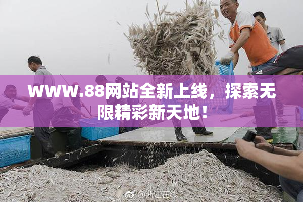 WWW.88网站全新上线，探索无限精彩新天地！