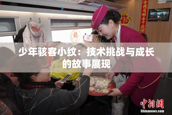 少年骇客小纹：技术挑战与成长的故事展现