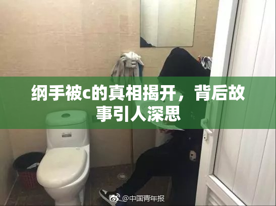 纲手被c的真相揭开，背后故事引人深思