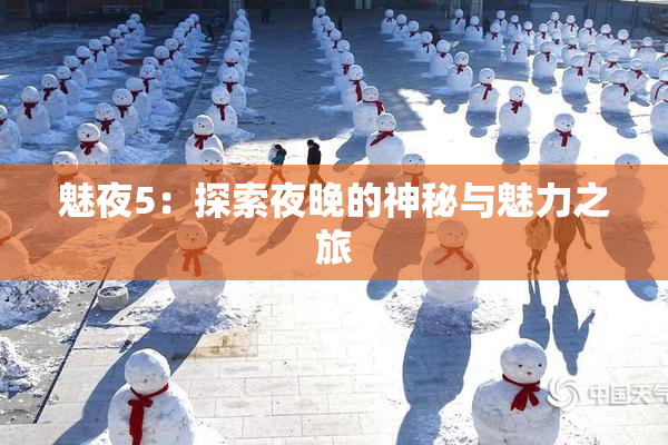 魅夜5：探索夜晚的神秘与魅力之旅