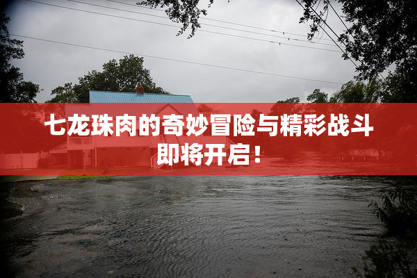 七龙珠肉的奇妙冒险与精彩战斗即将开启！