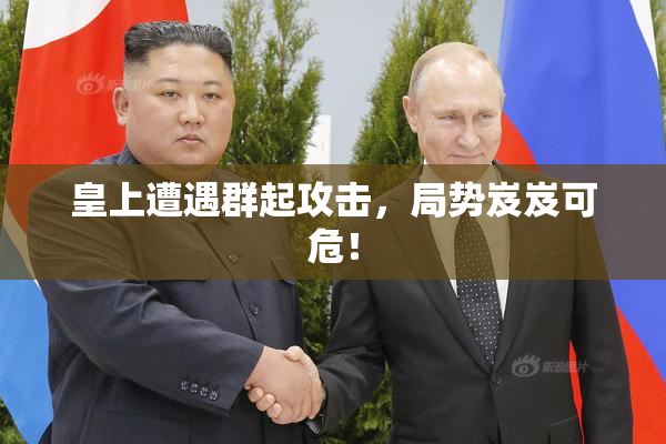 皇上遭遇群起攻击，局势岌岌可危！