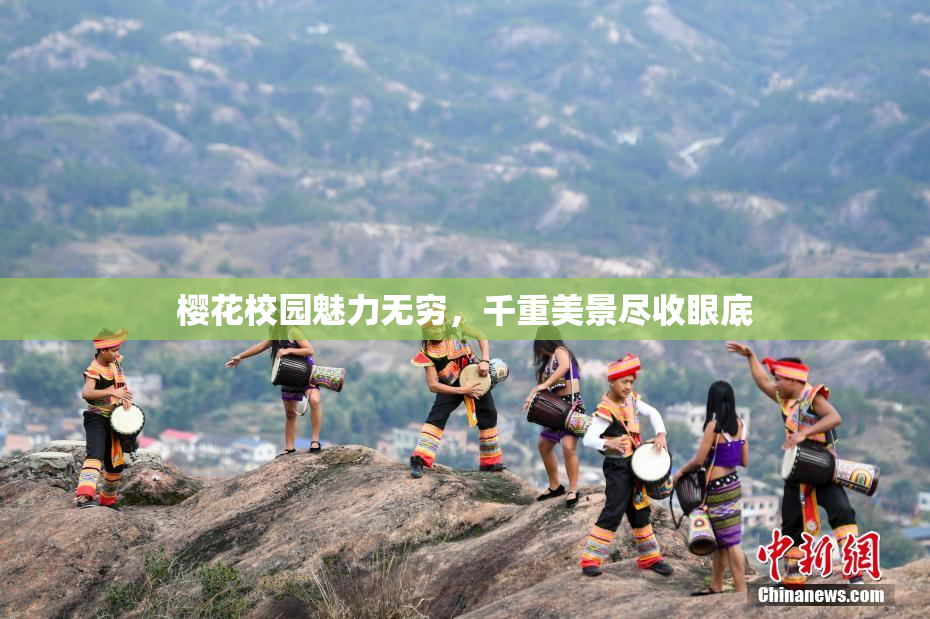 樱花校园魅力无穷，千重美景尽收眼底