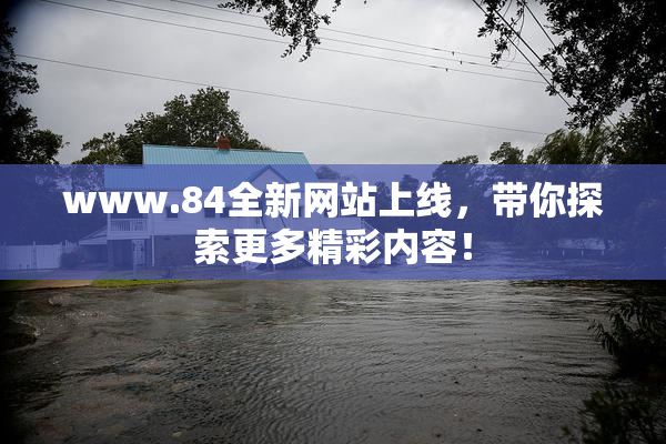 www.84全新网站上线，带你探索更多精彩内容！