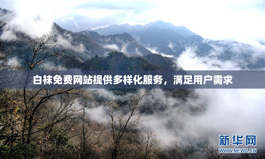 白袜免费网站提供多样化服务，满足用户需求