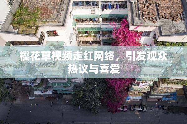 樱花草视频走红网络，引发观众热议与喜爱