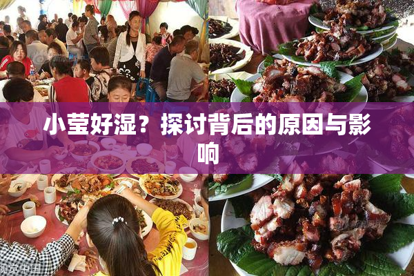 小莹好湿？探讨背后的原因与影响