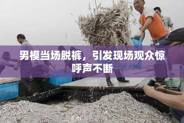 男模当场脱裤，引发现场观众惊呼声不断
