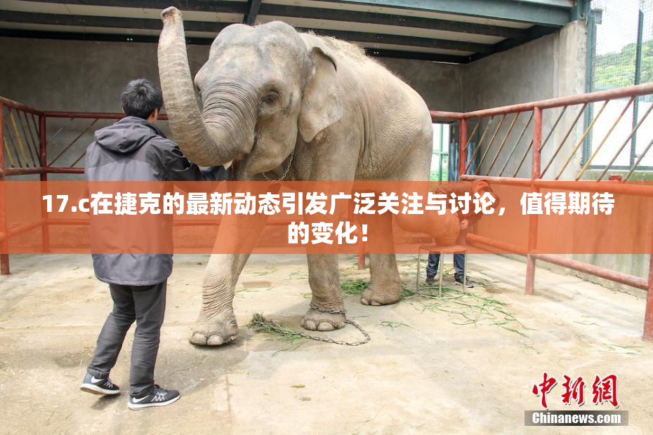 17.c在捷克的最新动态引发广泛关注与讨论，值得期待的变化！