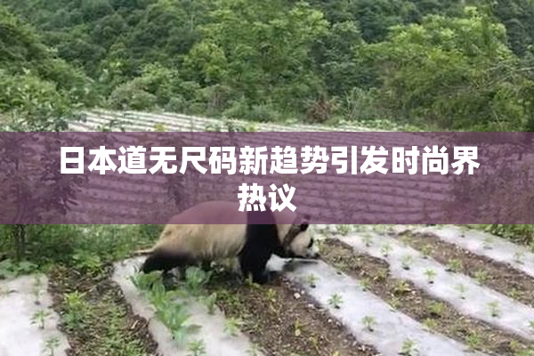 日本道无尺码新趋势引发时尚界热议