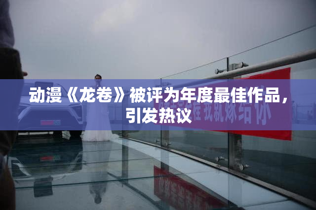 动漫《龙卷》被评为年度最佳作品，引发热议