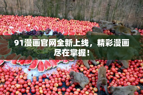 91漫画官网全新上线，精彩漫画尽在掌握！