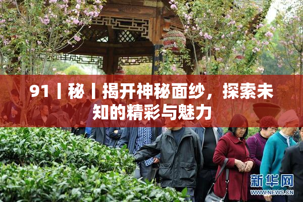 91丨秘丨揭开神秘面纱，探索未知的精彩与魅力