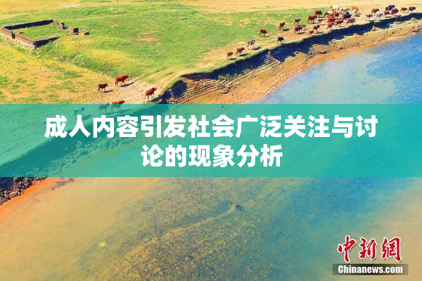 成人内容引发社会广泛关注与讨论的现象分析