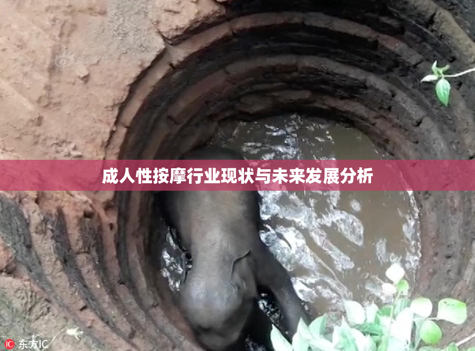 成人性按摩行业现状与未来发展分析