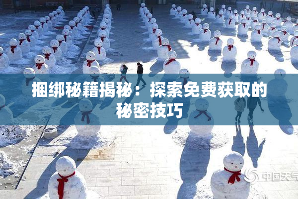 捆绑秘籍揭秘：探索免费获取的秘密技巧