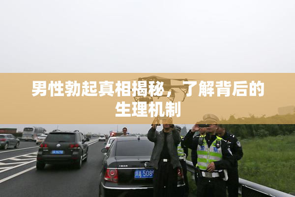 男性勃起真相揭秘，了解背后的生理机制