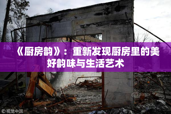 《厨房韵》：重新发现厨房里的美好韵味与生活艺术