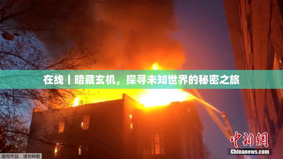 在线丨暗藏玄机，探寻未知世界的秘密之旅