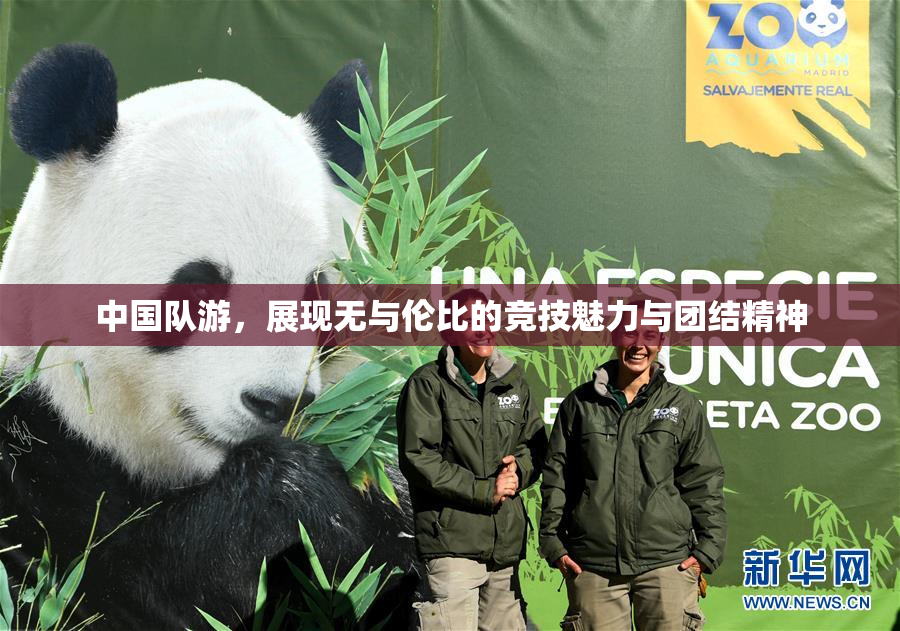 中国队游，展现无与伦比的竞技魅力与团结精神