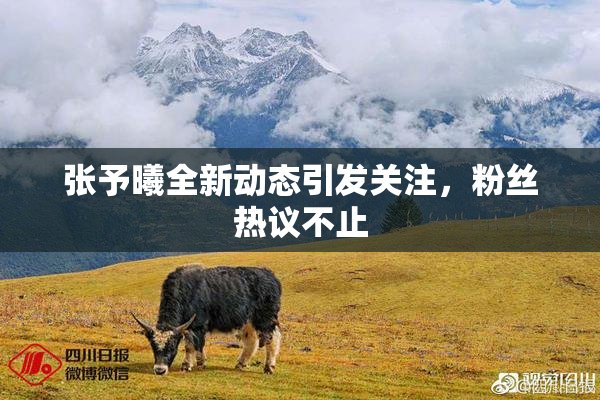 张予曦全新动态引发关注，粉丝热议不止