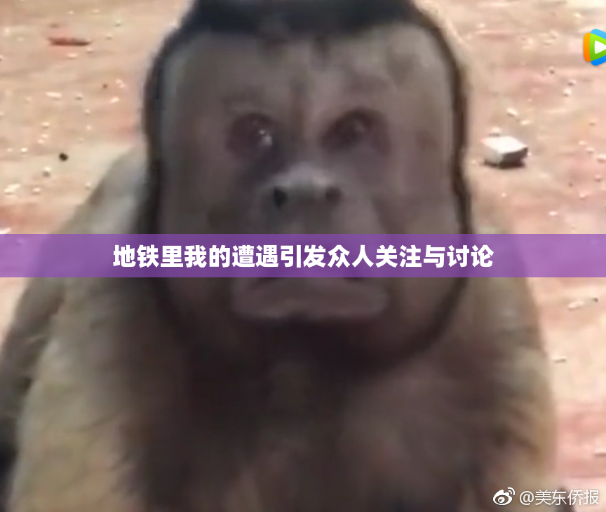 地铁里我的遭遇引发众人关注与讨论