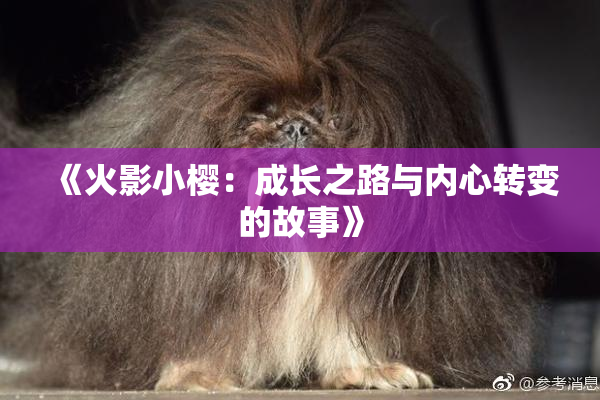 《火影小樱：成长之路与内心转变的故事》