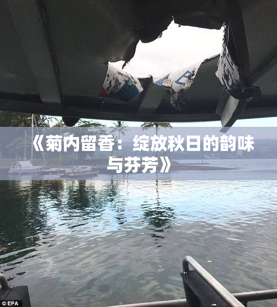 《菊内留香：绽放秋日的韵味与芬芳》