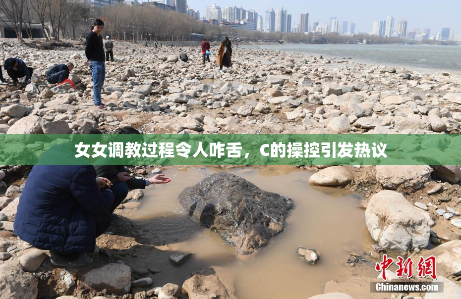 女女调教过程令人咋舌，C的操控引发热议