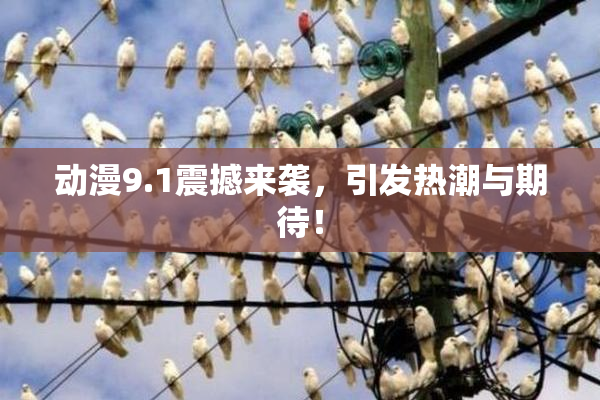 动漫9.1震撼来袭，引发热潮与期待！