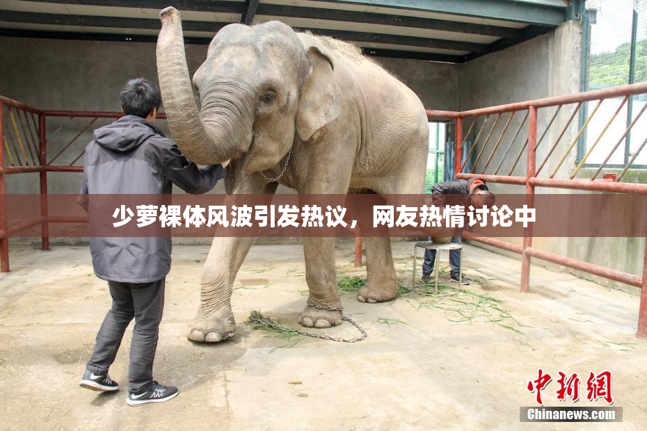 少萝裸体风波引发热议，网友热情讨论中