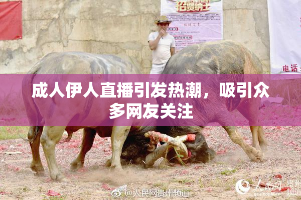 成人伊人直播引发热潮，吸引众多网友关注